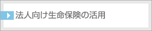 法人向け生命保険の活用